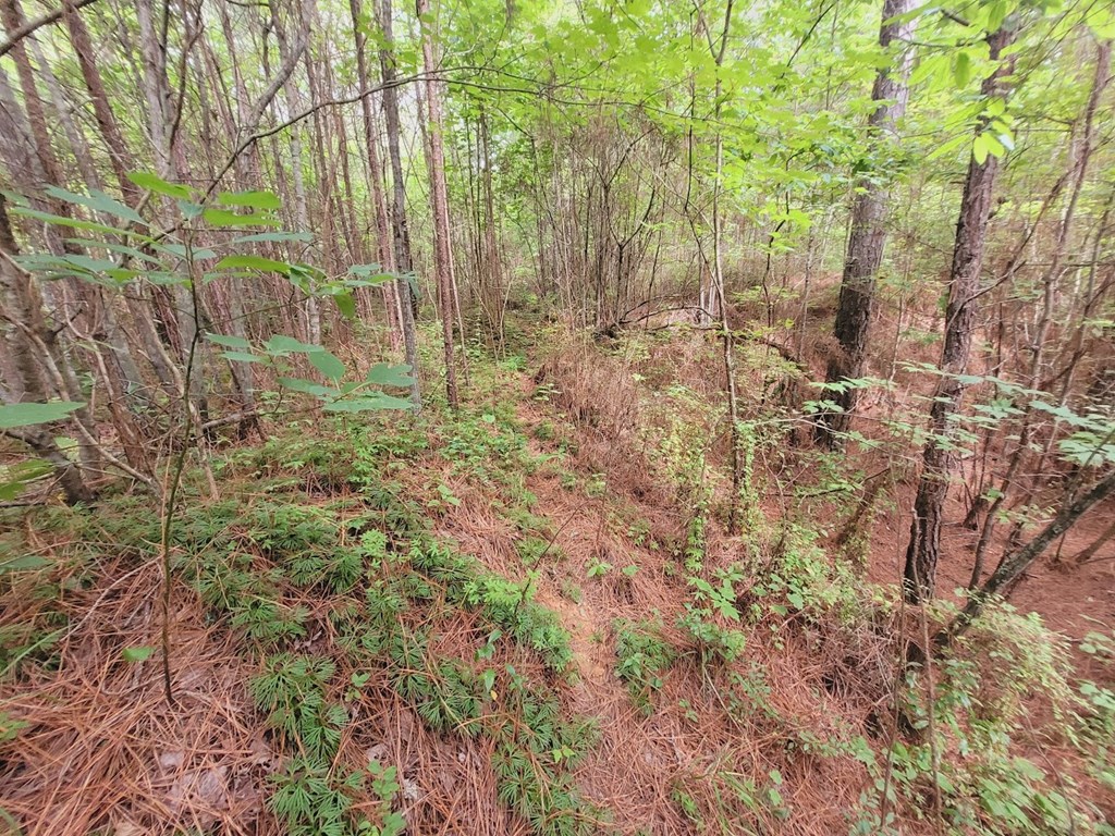 249 Bethlehem Road Copperhill, TN 37317 - Photo 6 of 19