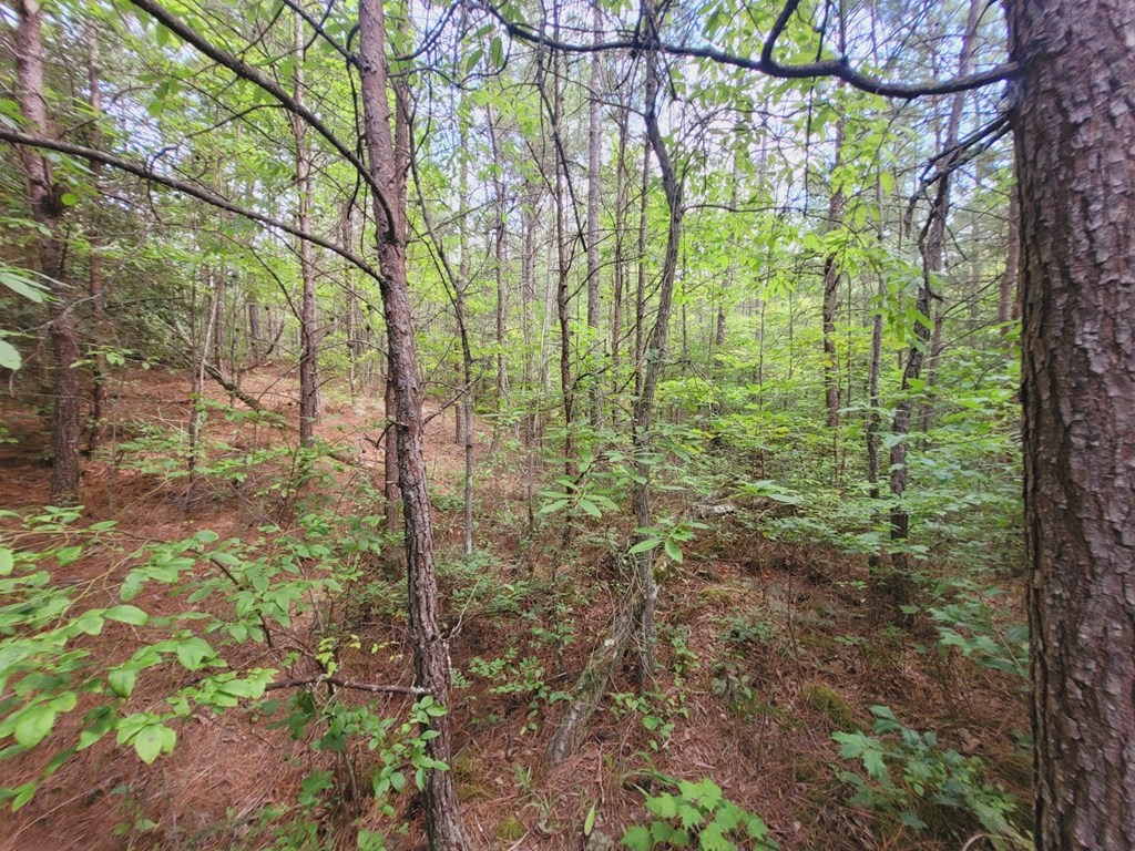249 Bethlehem Road Copperhill, TN 37317 - Photo 7 of 19