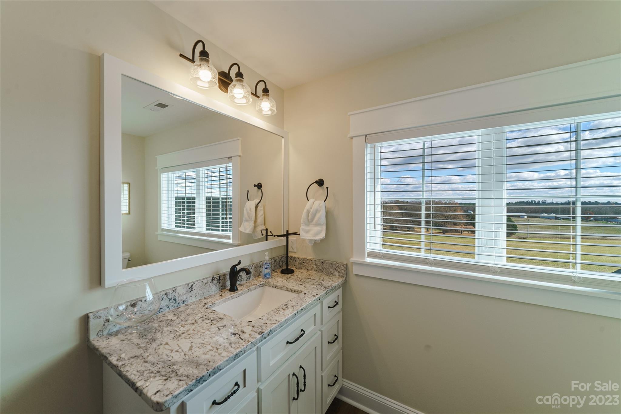 16063 McLester Road Oakboro, NC 28129 - Photo 37 of 48 a bathroom with a granite countertop sink and a window