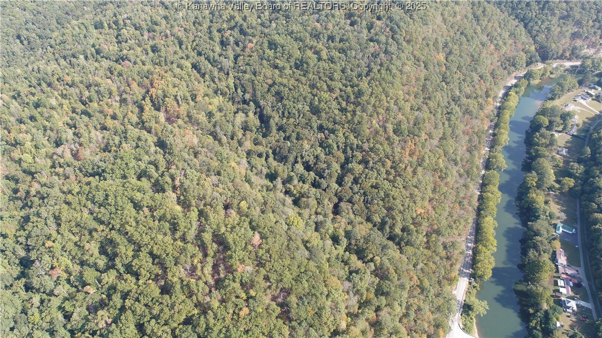 0 Elk River Road Procious, WV 25164 - Photo 3 of 24 Gallery Image 3