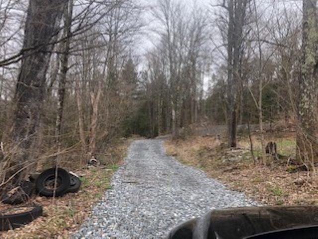 Tbd Labadie Road Stockbridge, VT 05772 - Photo 3 of 6 Gallery Image 3