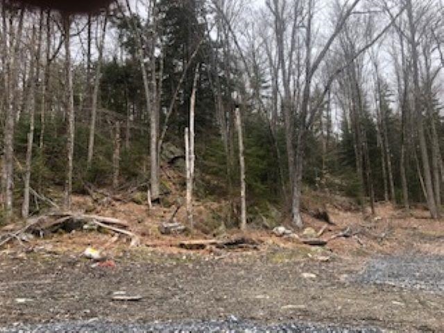Tbd Labadie Road Stockbridge, VT 05772 - Photo 4 of 6 Gallery Image 4