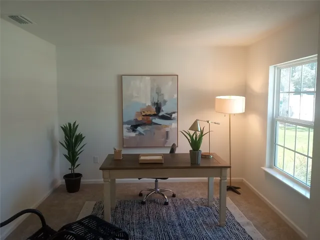a living room with furniture and a potted plant