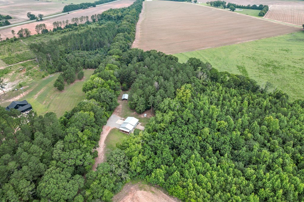 401 Macedonia Road Hartford, AL 36344 - Photo 20 of 61