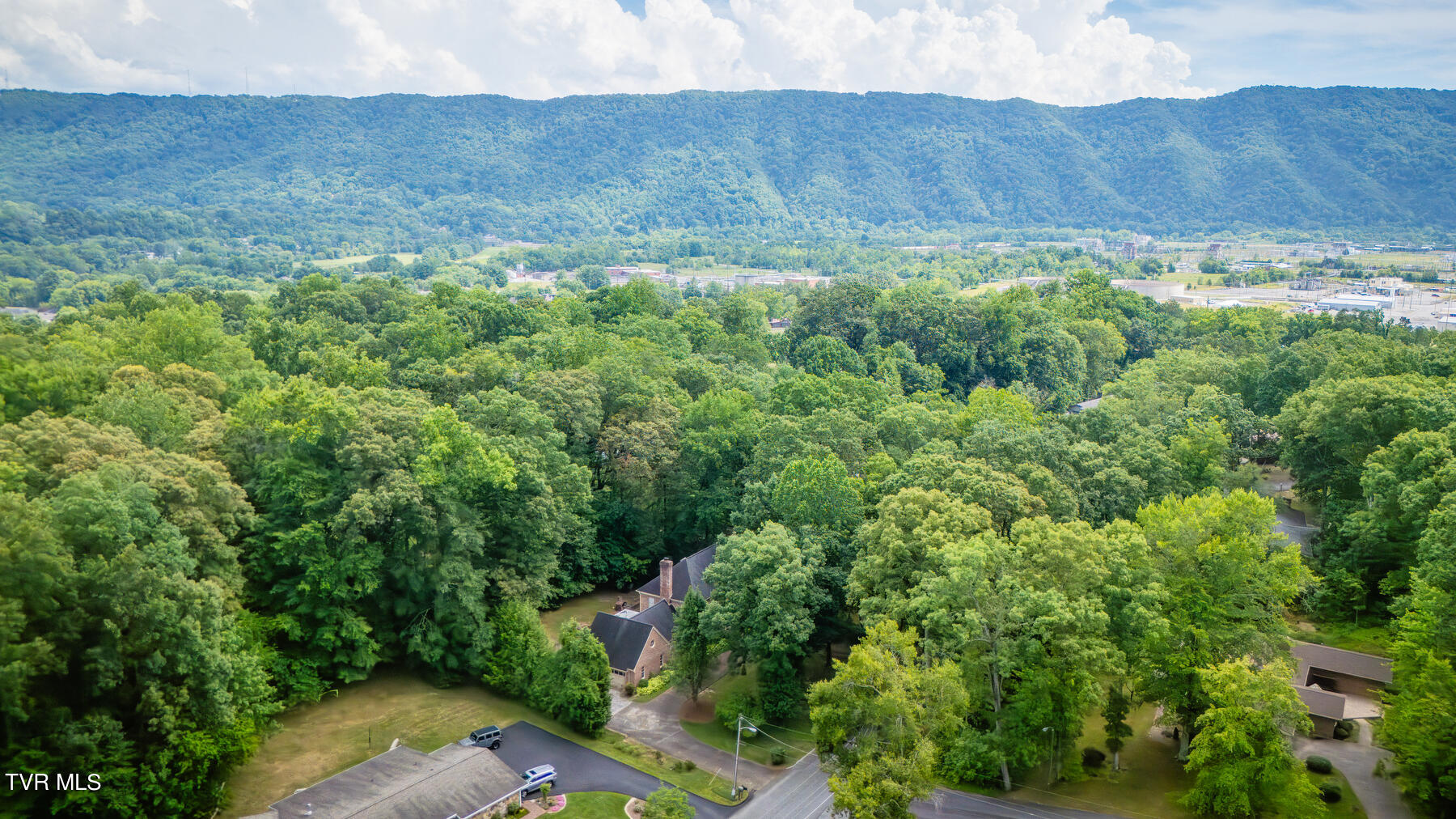 209 Old Castle Road Kingsport, TN 37660 - Photo 2 of 59 102