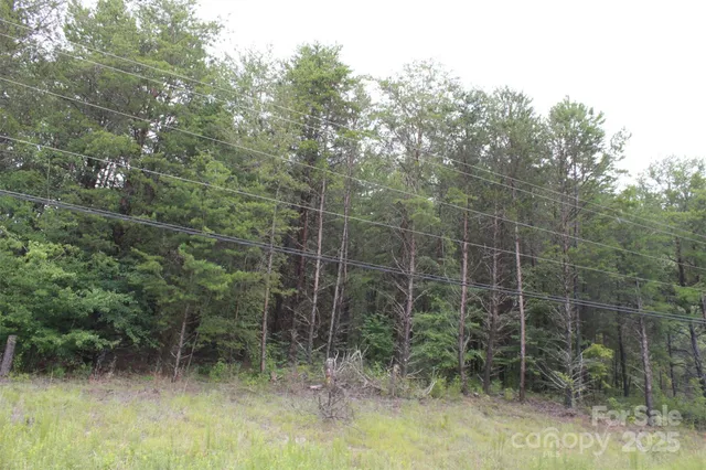 $75,000 | 0 Us 74 Bypass Highway, Spindale, NC 28160