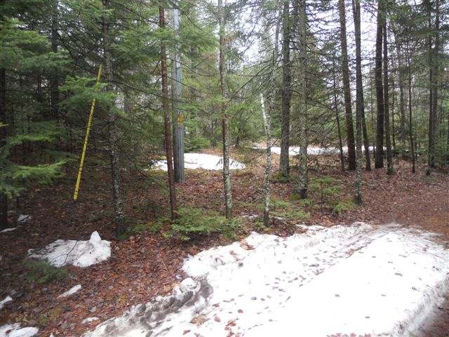3902 Aldridge Lake Road Eagle River, WI 54521 - Photo 20 of 20 Gallery Image 20
