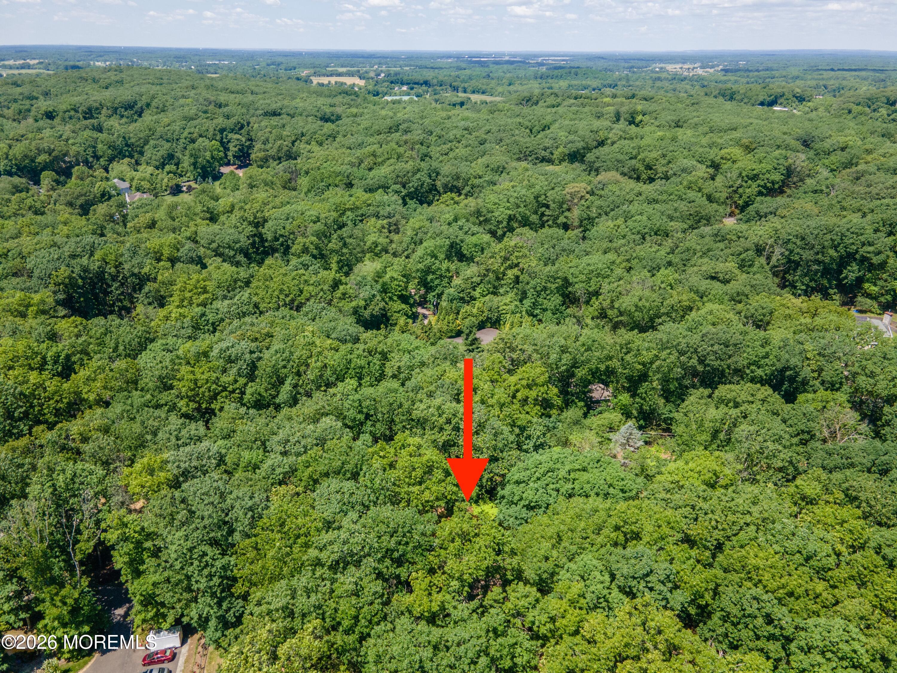 48 Chambers Road Cream Ridge, NJ 08514 - Photo 47 of 52 DJI_0007