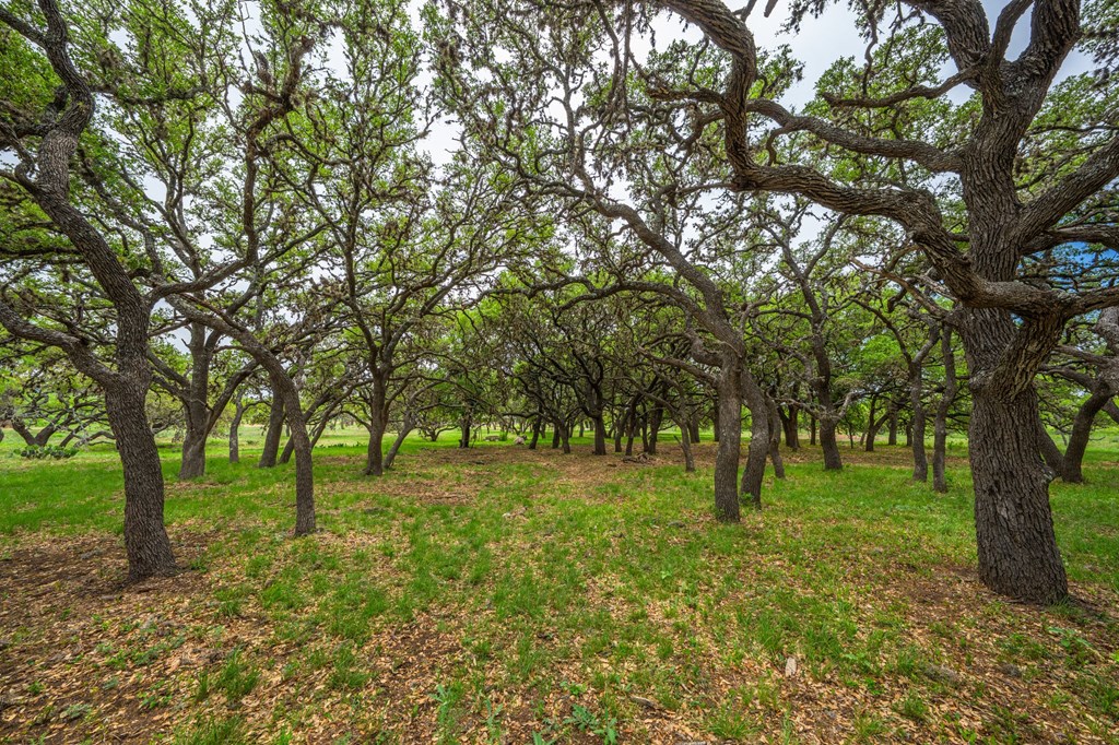 1065 B And R Road Utopia, TX 78884 - Photo 6 of 19