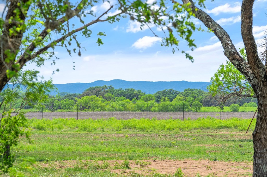 1065 B And R Road Utopia, TX 78884 - Photo 7 of 19