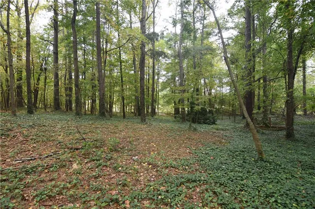 a view of outdoor space with trees