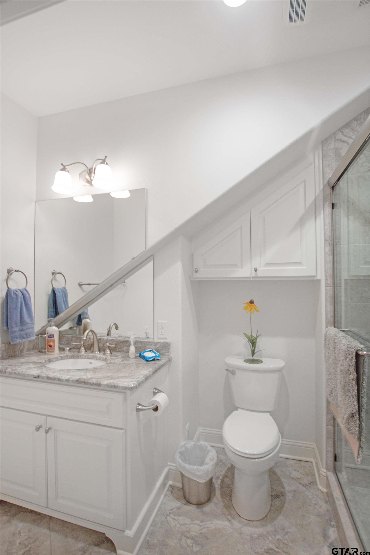 15722 Timberhill Drive Flint, TX 75762 - Photo 29 of 48 a bathroom with a sink a toilet and a mirror