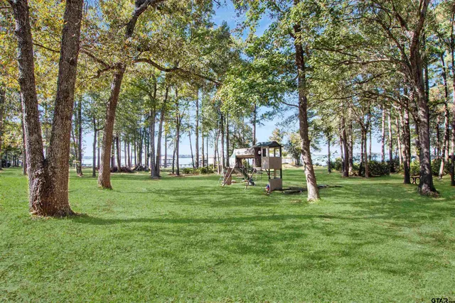 a view of backyard from window