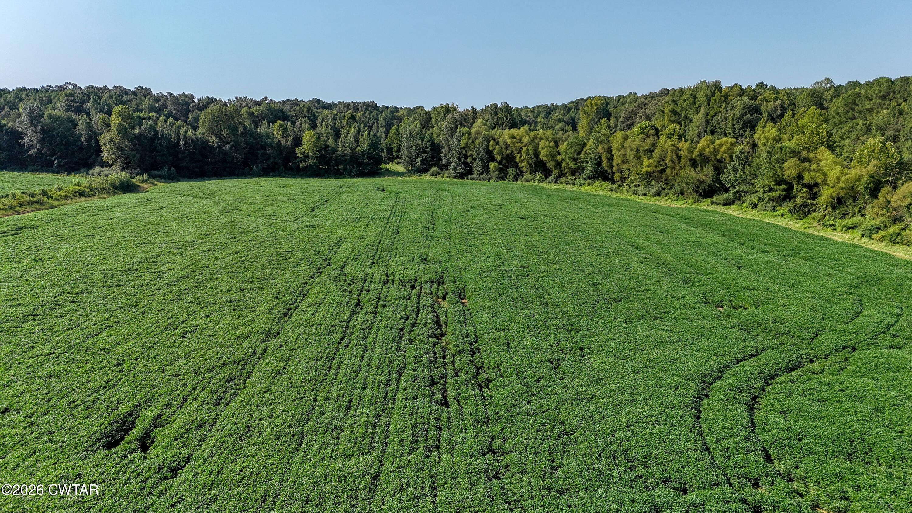 0 Finch Road Gleason, TN 38229 - Photo 9 of 25 DJI_20260811092426_0117_D