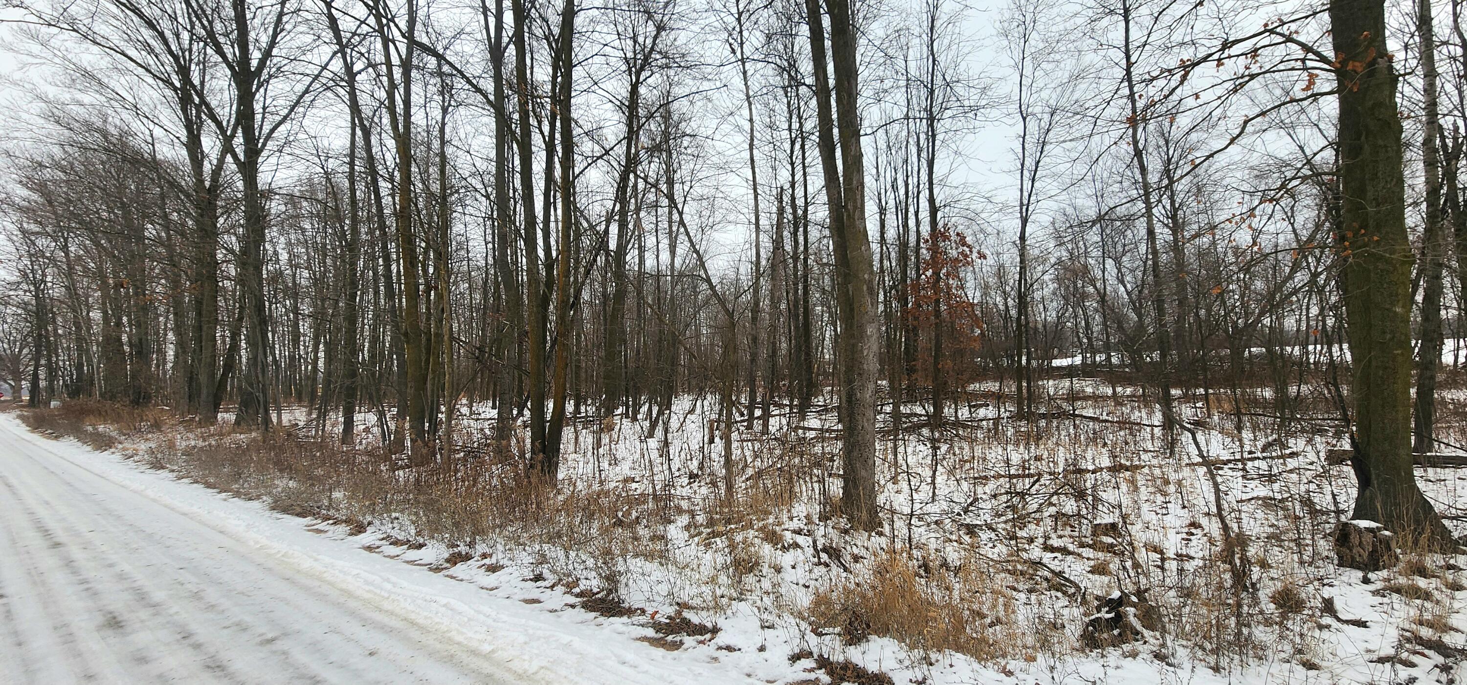 Vl Derby Road Sheridan, MI 48884 - Photo 2 of 4 20241223_144412
