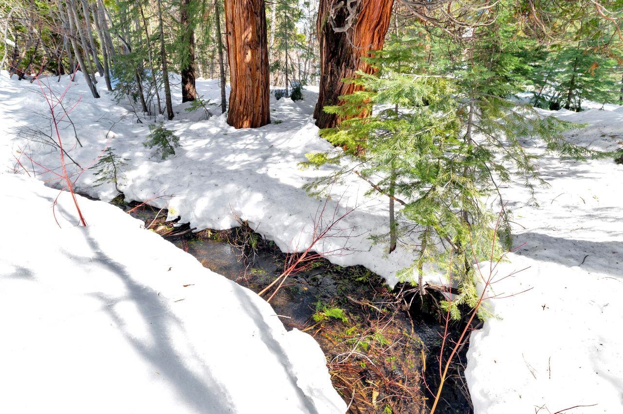 1001 Commonwealth Drive, Unit 156 Kings Beach, CA 96143 - Photo 18 of 21 a view of a yard with snow