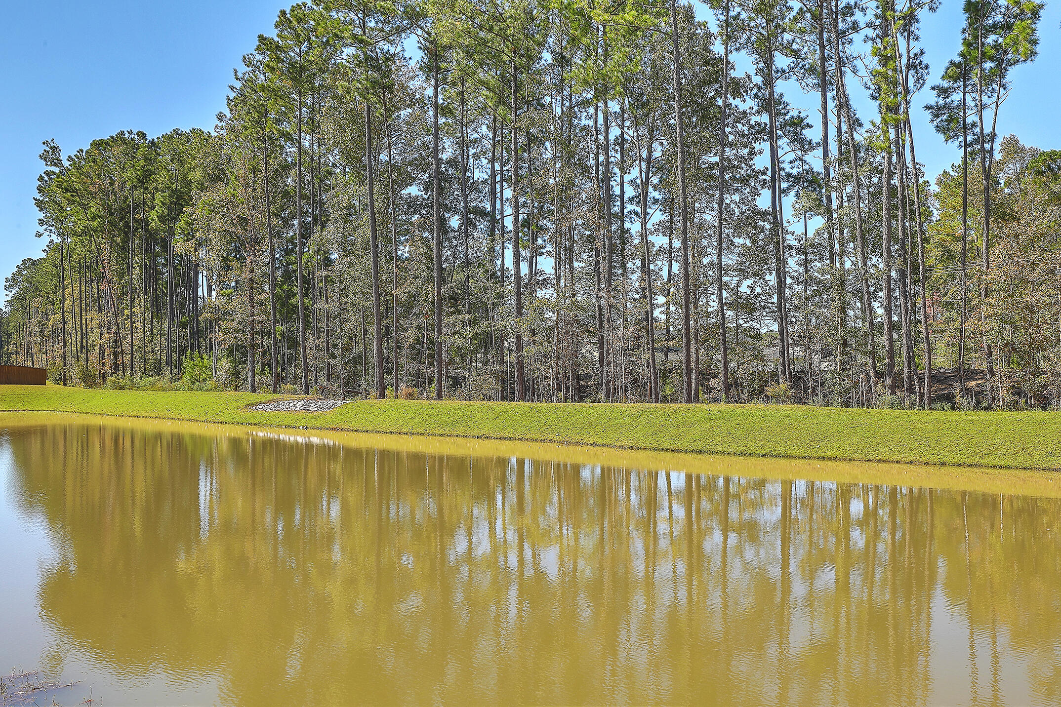 219 Sarcoxie Road Moncks Corner, SC 29461 - Photo 41 of 43 1R3A6705_06_07_08_09_10_11