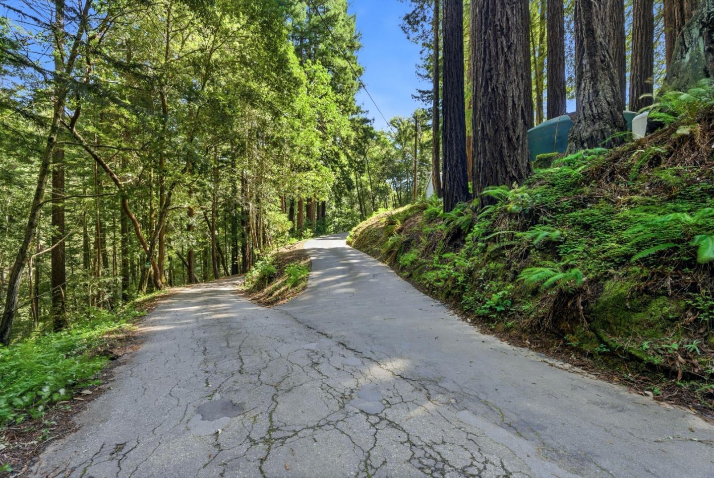 1460 Tucker Road Scotts Valley, CA 95066 - Photo 19 of 32 a view of a yard with plants and trees