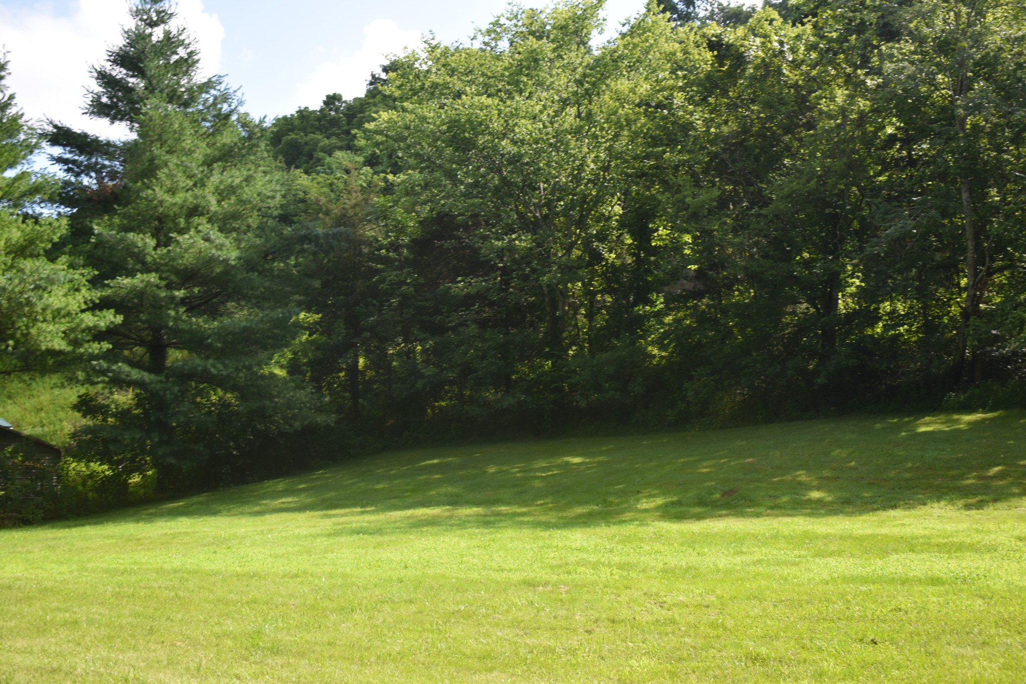 0 Dog Branch Road South Pleasant Shade, TN 37145 - Photo 7 of 14