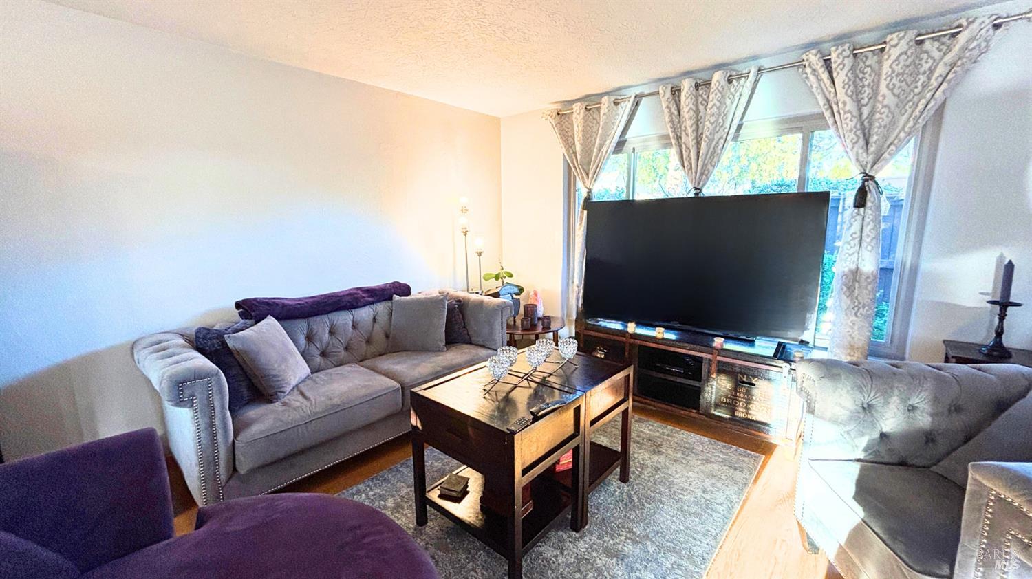 1749 Las Raposas Court Santa Rosa, CA 95409 - Photo 4 of 31 a living room with furniture and a flat screen tv