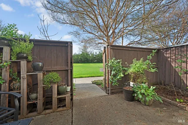a view of a backyard with potted plants and large tree