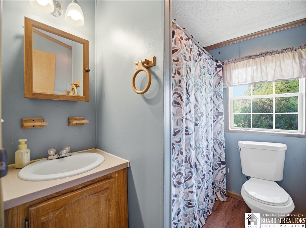 9853 Livermore Road Arkwright, NY 14063 - Photo 22 of 34