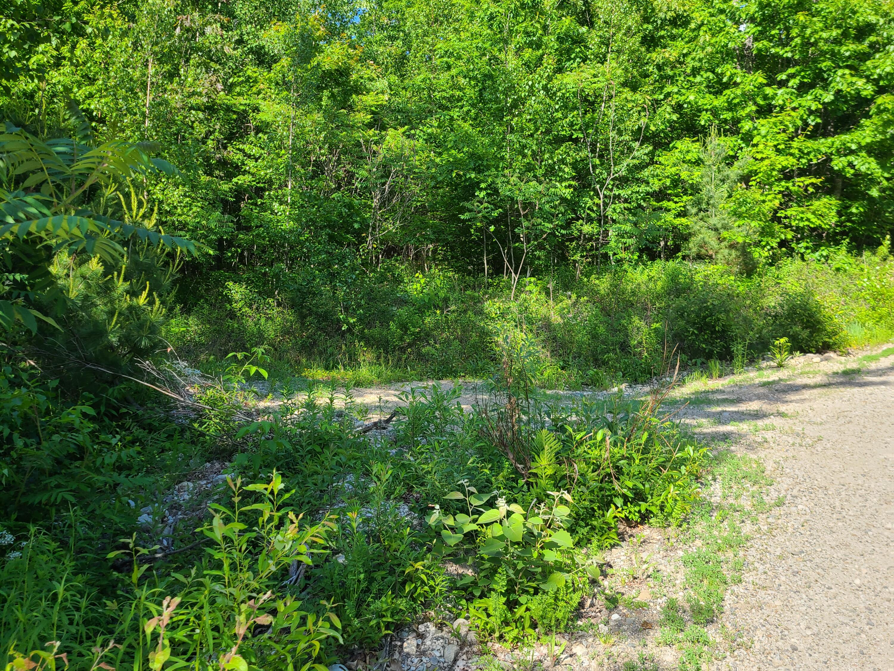Lot 7 Parsonsfield Road Limerick, ME 04048 - Photo 7 of 10 20220606_165257