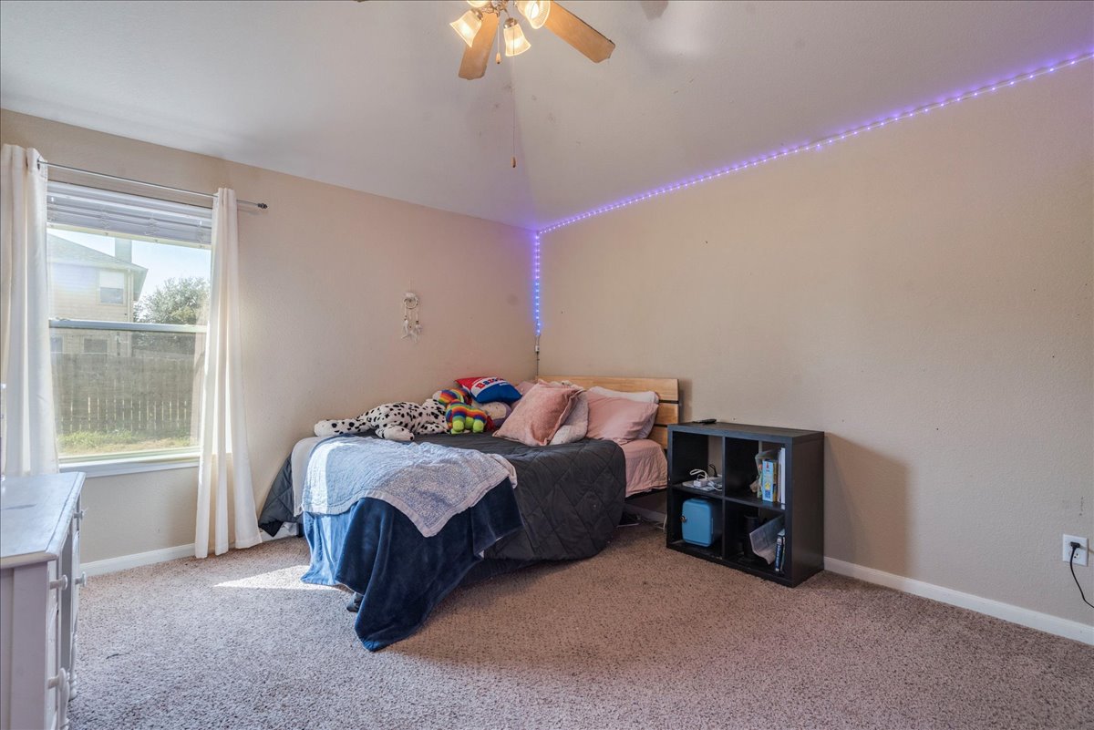18424 Dry Brook Loop Pflugerville, TX 78660 - Photo 19 of 25 Bedroom with carpet floors and a ceiling fan
