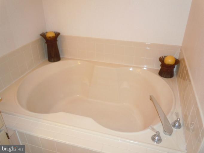 4142 Maple Path Circle, Unit 45 Nottingham, MD 21236 - Photo 13 of 25 Master Bath