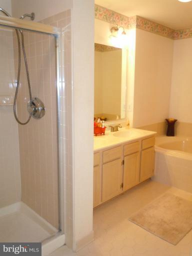4142 Maple Path Circle, Unit 45 Nottingham, MD 21236 - Photo 4 of 25 Master Bath