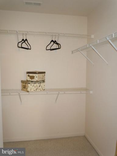 4142 Maple Path Circle, Unit 45 Nottingham, MD 21236 - Photo 5 of 25 Walk-in closet
