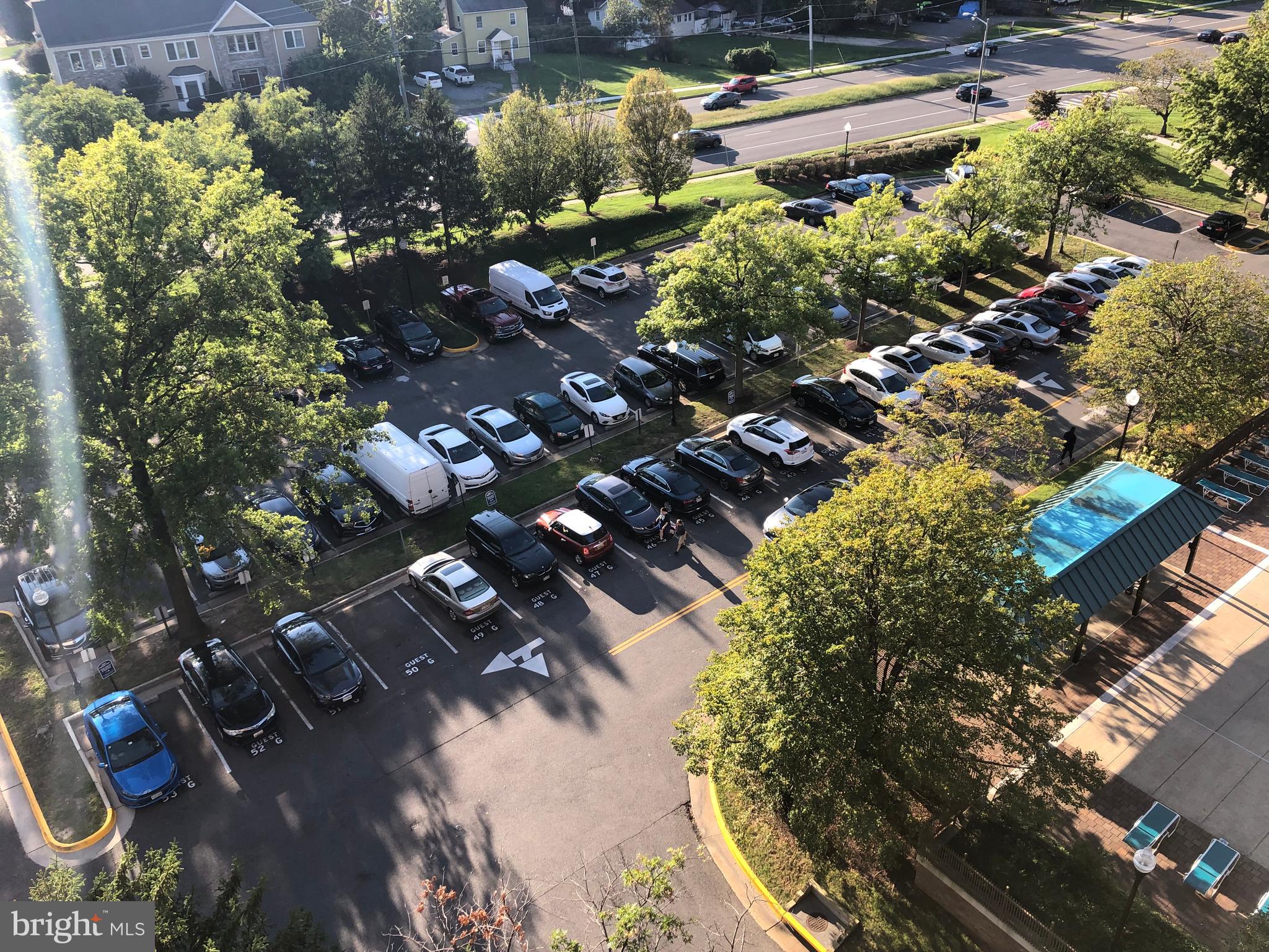 5501 Seminary Road, Unit 812S Falls Church, VA 22041 - Photo 16 of 30 Guest Parking
