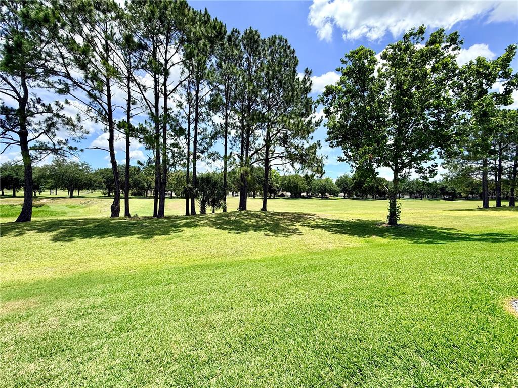 15597 Southwest 14th Avenue Road Ocala, FL 34473 - Photo 62 of 77