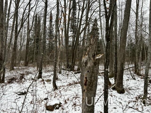 Tbd4 Larson Road Atlantic Mine, MI 49905 - Photo 27 of 41 Gallery Image 27