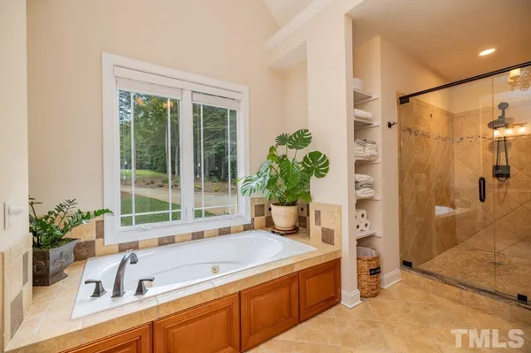 a view of a bathroom with a tub and a potted plant