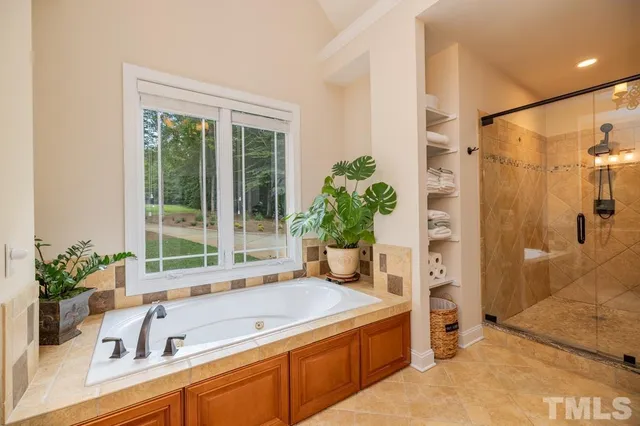 a view of a bathroom with a tub and a potted plant