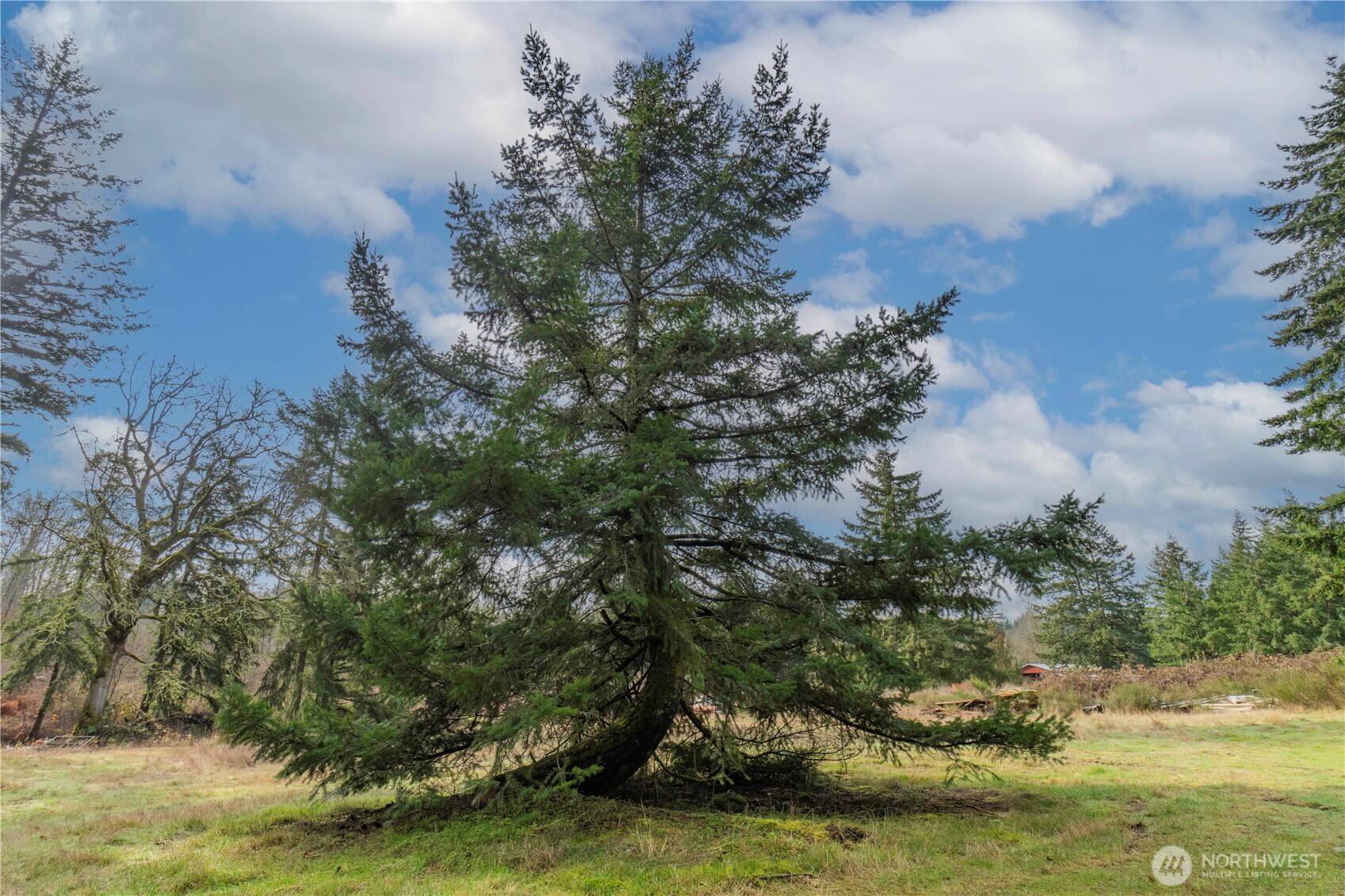 11025 Vancil Road Southeast Yelm, WA 98597 - Photo 21 of 24