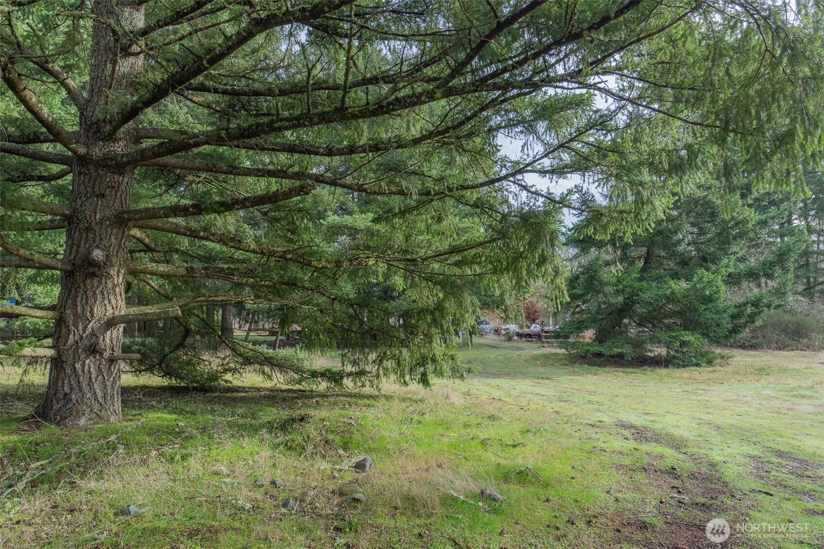 11025 Vancil Road Southeast Yelm, WA 98597 - Photo 22 of 24