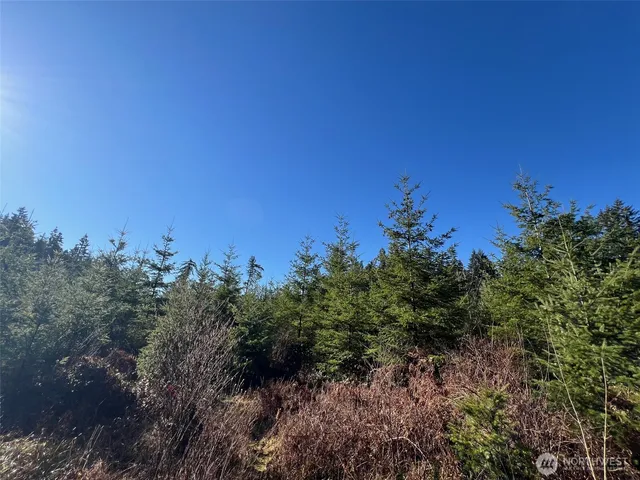 $249,999 | 0 Winter Road, Winlock, WA 98596