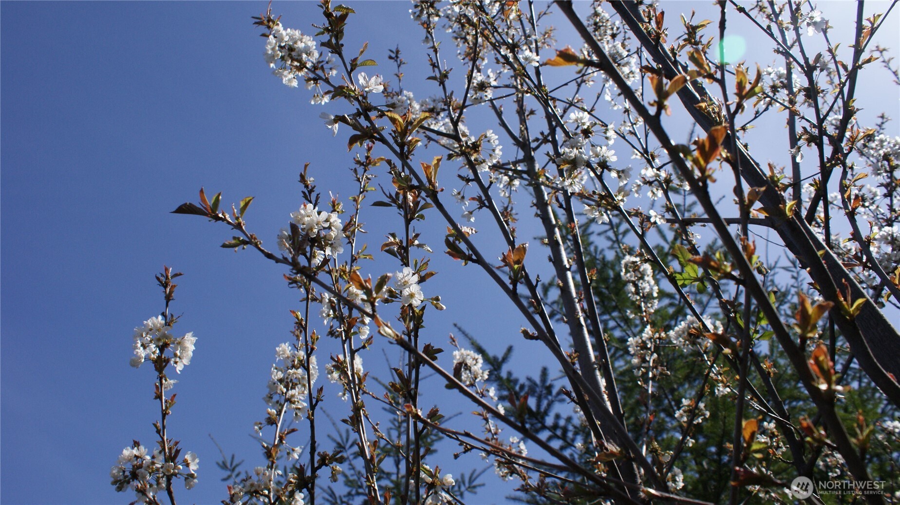 0 Winter Road Winlock, WA 98596 - Photo 16 of 24