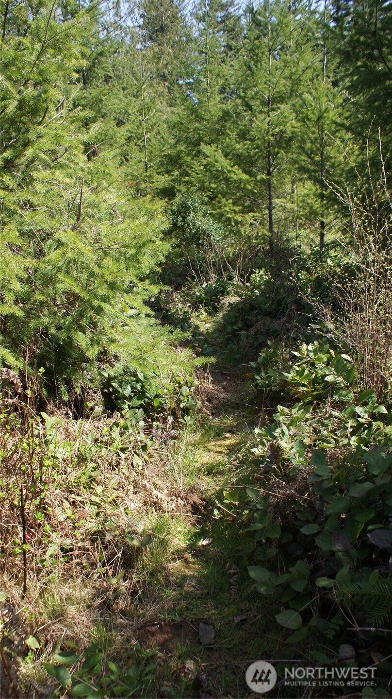 0 Winter Road Winlock, WA 98596 - Photo 19 of 24