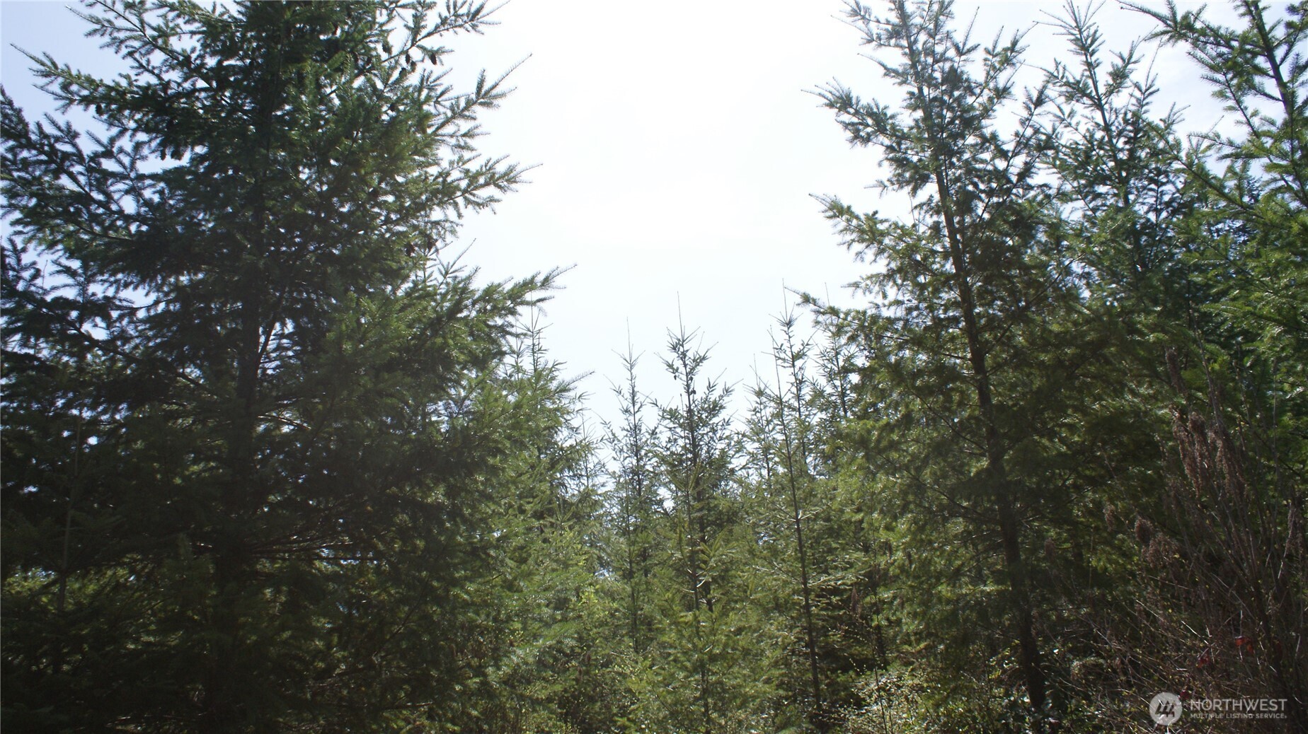 0 Winter Road Winlock, WA 98596 - Photo 24 of 24