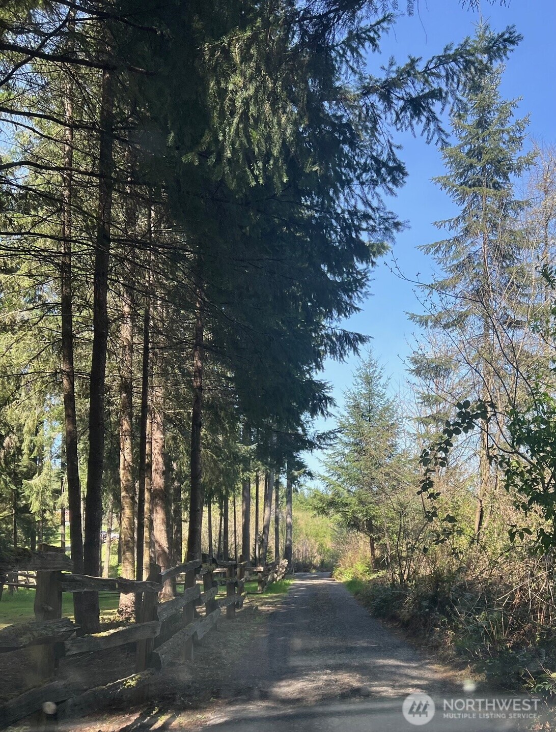 0 Winter Road Winlock, WA 98596 - Photo 7 of 24