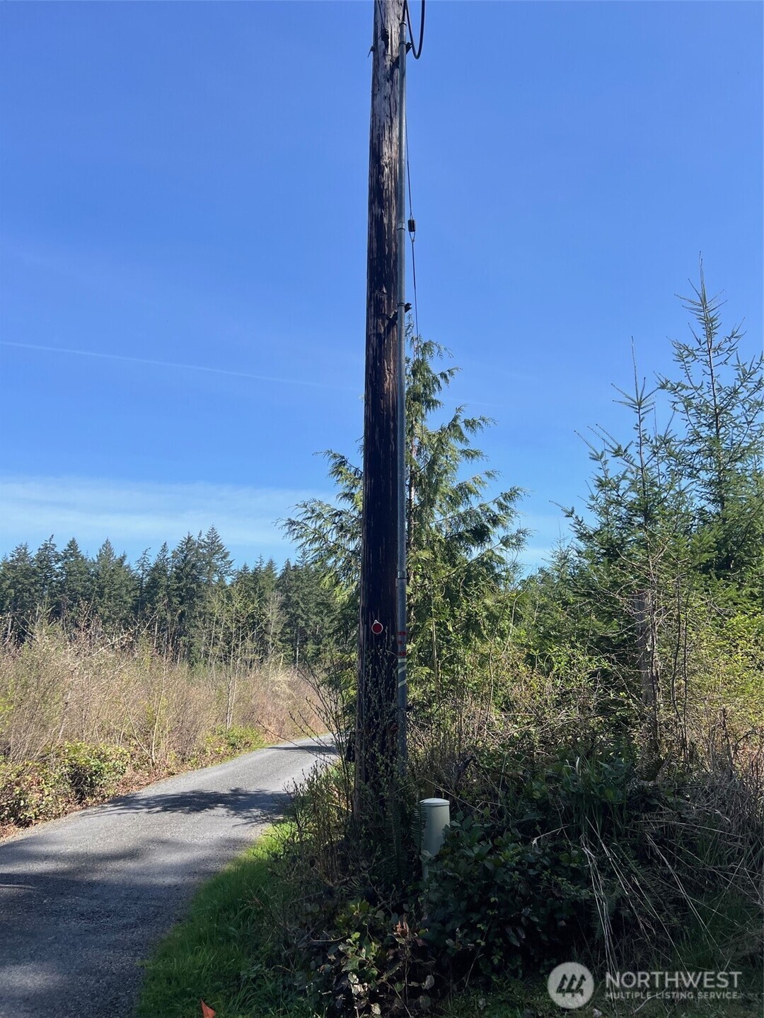 0 Winter Road Winlock, WA 98596 - Photo 9 of 24