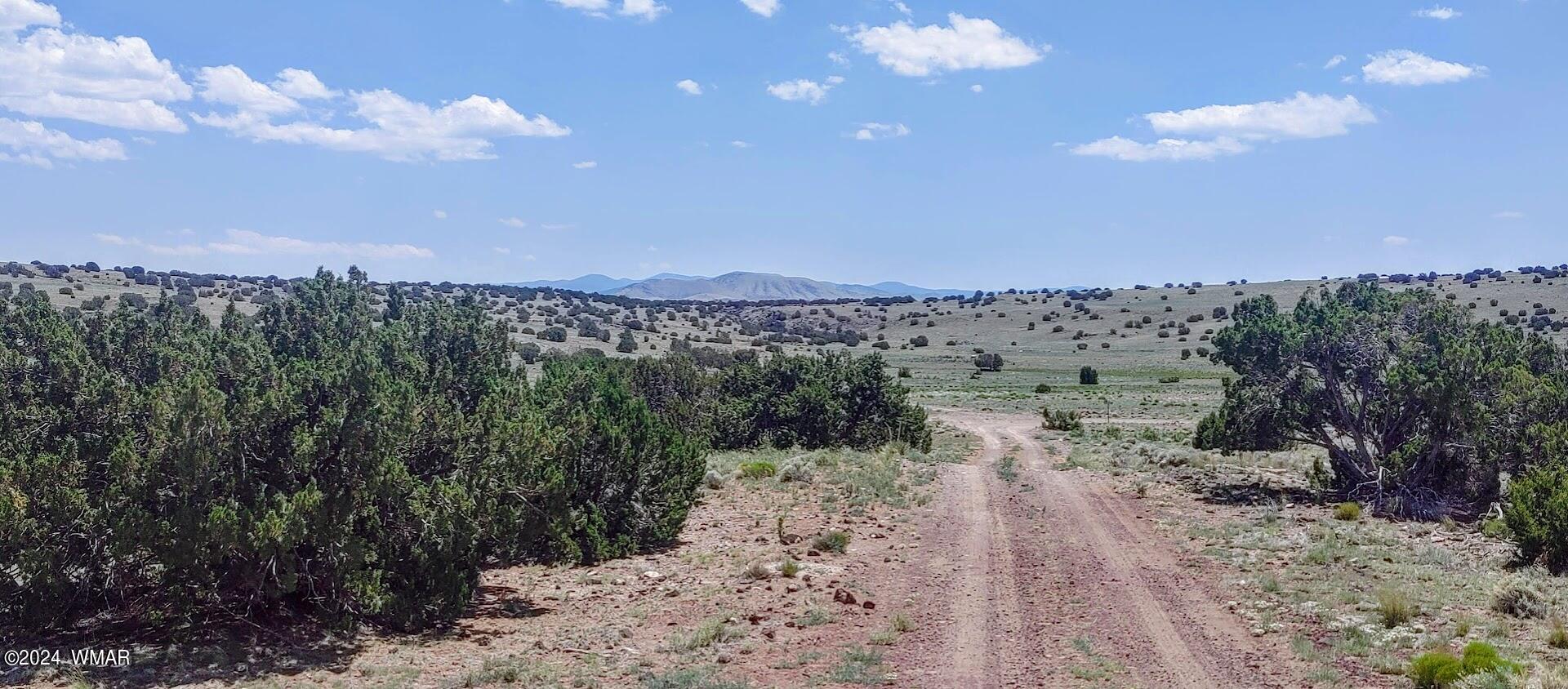 Lot 6 Big Six Ranch Concho, AZ 85924 - Photo 2 of 10