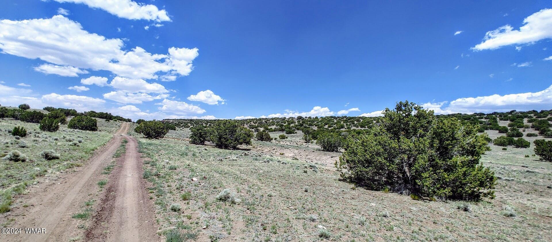 Lot 6 Big Six Ranch Concho, AZ 85924 - Photo 3 of 10