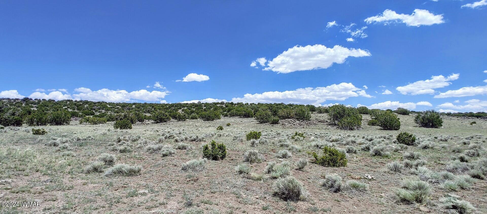 Lot 6 Big Six Ranch Concho, AZ 85924 - Photo 4 of 10
