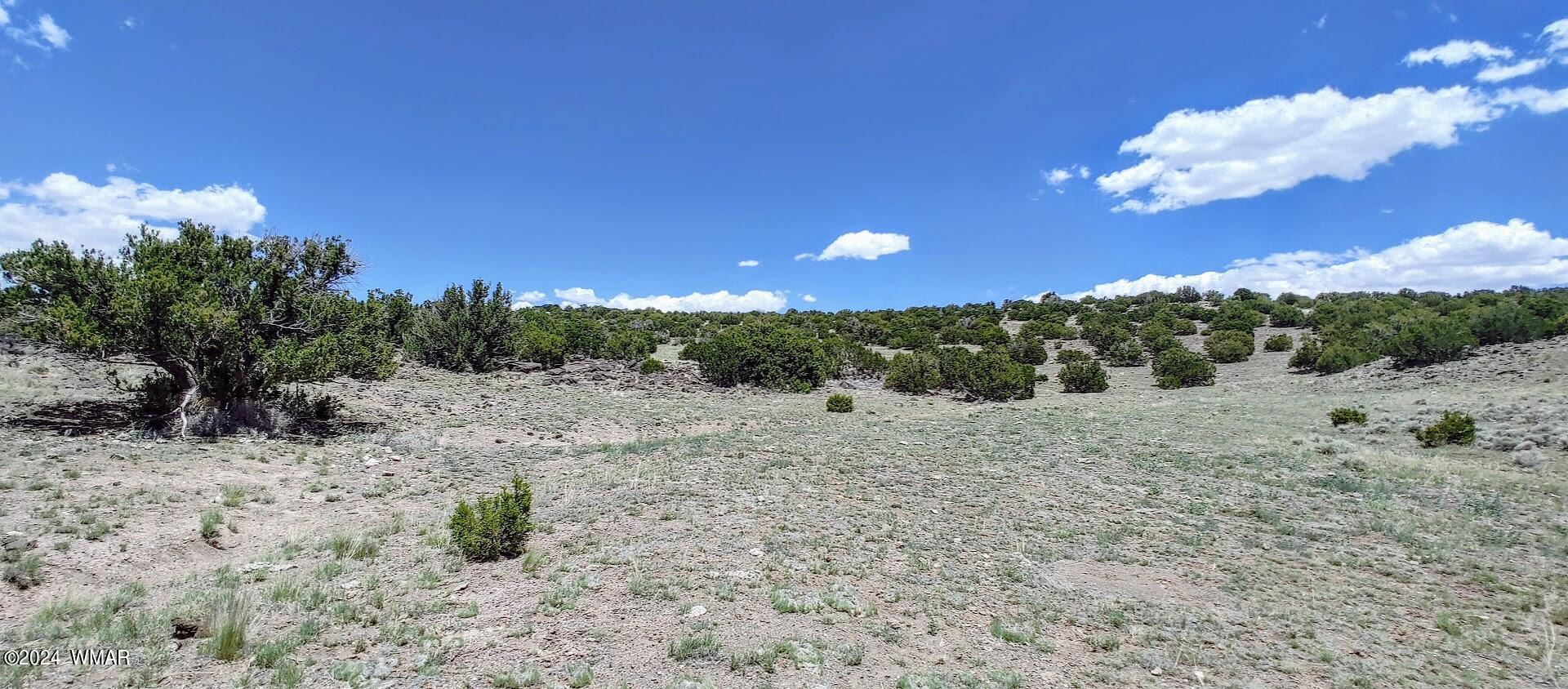 Lot 6 Big Six Ranch Concho, AZ 85924 - Photo 5 of 10