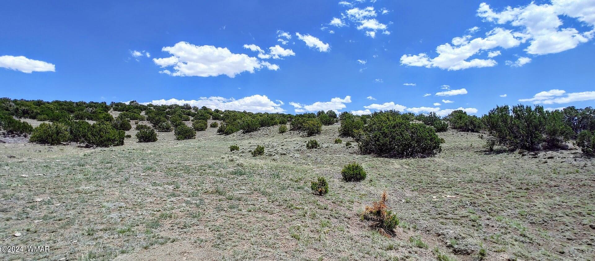 Lot 6 Big Six Ranch Concho, AZ 85924 - Photo 6 of 10