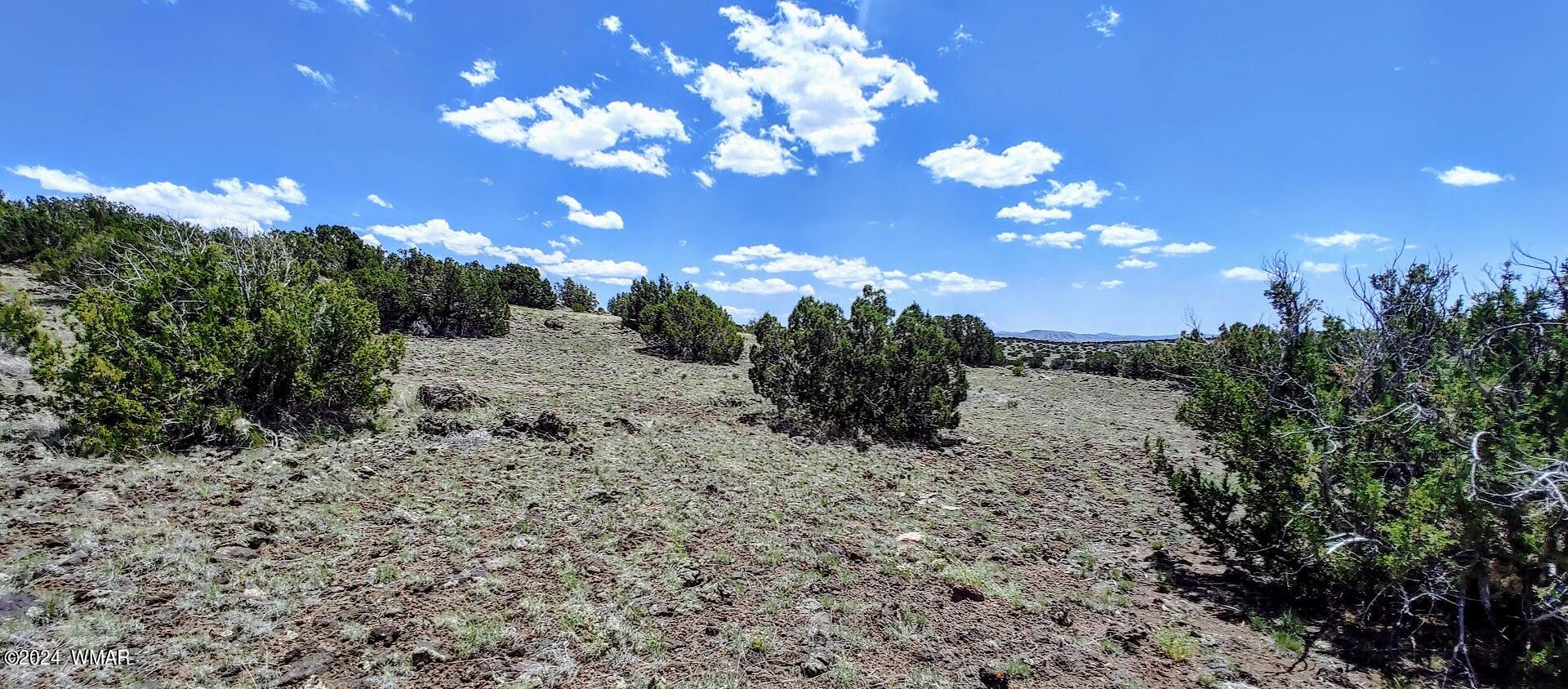 Lot 6 Big Six Ranch Concho, AZ 85924 - Photo 7 of 10